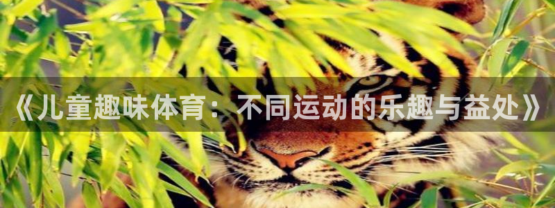 必威betway西汉姆联：《儿童趣味体育：不同运动的乐趣与益处》
