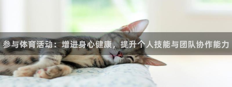 betway西汉姆联：参与体育活动：增进身心健康，提升个人技能与团队协作能力