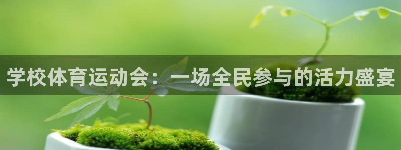 betway西汉姆：学校体育运动会：一场全民参与的活力盛宴