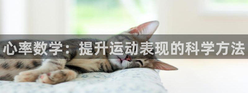 必威betway西汉姆联：心率数学：提升运动表现的科学方法