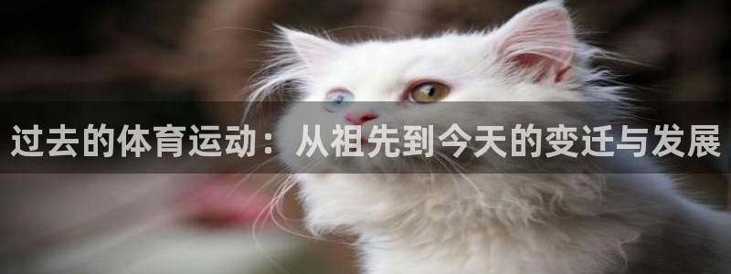 betway西汉姆联：过去的体育运动：从祖先到今天的变迁与发展