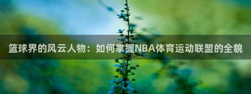 betway西汉姆：篮球界的风云人物：如何掌握NBA体育运动联盟的全貌