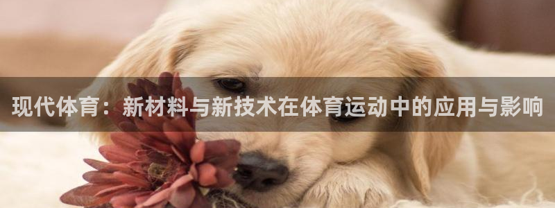 betway西汉姆联官网：现代体育：新材料与新技术在体育运动中的应用与影响
