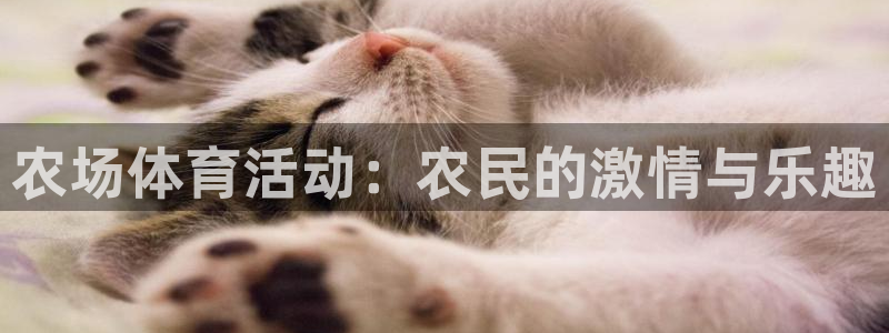 betway西汉姆官网：农场体育活动：农民的激情与乐趣
