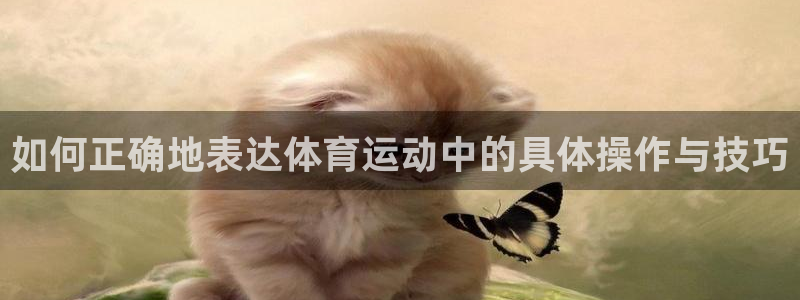 betway西汉姆联
