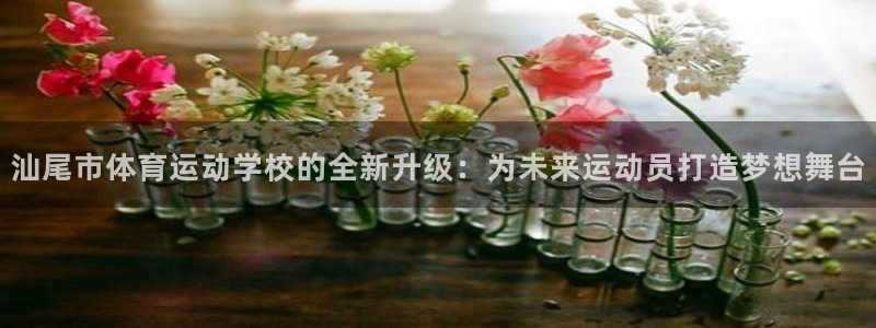 betway西汉姆：汕尾市体育运动学校的全新升级：为未来运动员打造梦想舞台