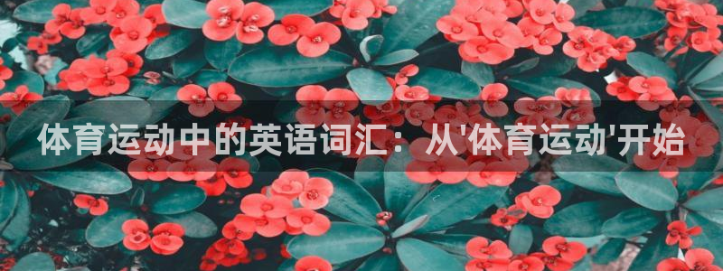 betway西汉姆联：体育运动中的英语词汇：从\'体育运动\'开始