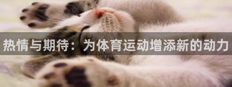 betway西汉姆联官网：热情与期待：为体育运动增添新的动力