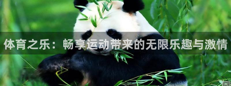 betway西汉姆：体育之乐：畅享运动带来的无限乐趣与激情